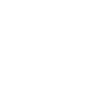realengo-logo-vertical